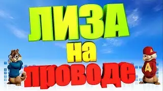Песня про ЛИЗУ (Бурундуки)