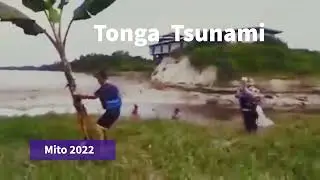 Ninguém é capaz contra forças da natureza tonga tsunami
