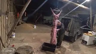 Как разделать кабана
