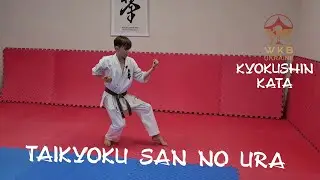 TAIKYOKU SAN NO URA