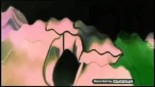 Nick.com logo in annaya g major