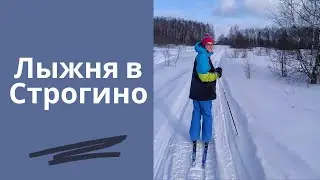 Лыжня в Строгино и Wake park Строгино