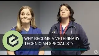Why Become a Veterinary Technician Specialist?