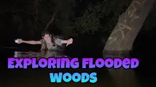 Exploring flooded woods!!