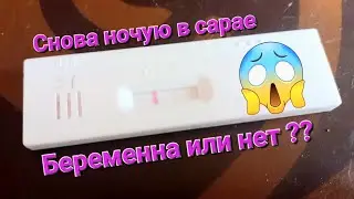 Накупила тестов. Снова опорос 20 штук