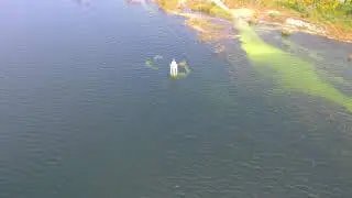 Fish 2