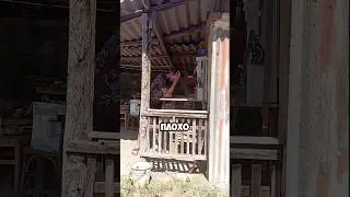 Первый социальный ролик