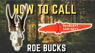 How to call roe deer buck?! Sam Neyt Belblatt