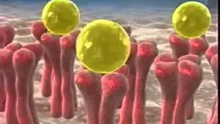 Таблетки Табекс