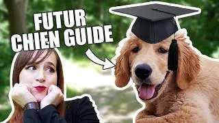 J'ai visité une école de chiens guides
