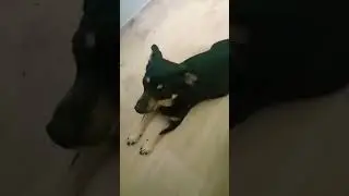 Грусть, тоска ☺