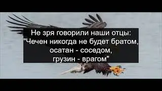 Орёл и волчонок