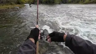 Fishing Fox River Spillway part 2 of 2, we get the last of em