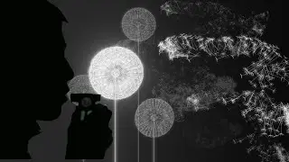 In the new year, may you be as light and free as a dandelion | #touchdesigner