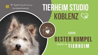 Neue Fellnasen im Tierheim Studio Koblenz