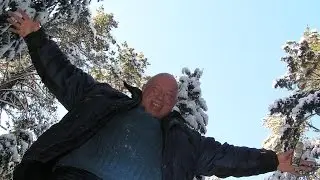 Мещера. Зимы не будет (2014-2015)