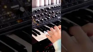 Electro Jam #shorts #lofi #electronicmusic #music #rhodes #juno106 #dx7 #moogsub37 #jam