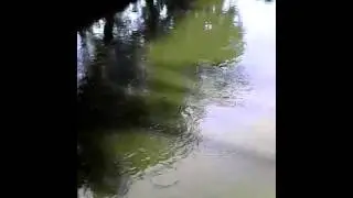carla maigne ....(1rst tym fishing)