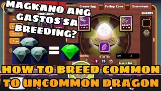 DRAGONARY BREEDING GUIDE - HOW TO BREED COMMON TO UNCOMMON DRAGON | MAGKANO ANG GASTOS SA BREEDING