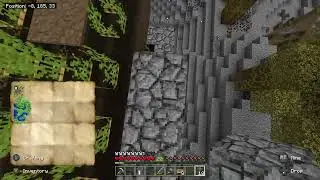 Spider climbs for the last time