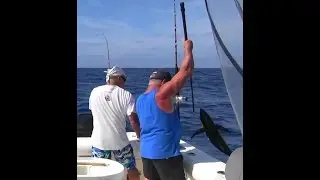 Bluefin Tuna and Patty Yellowtail ! The Reel Brothers Presents