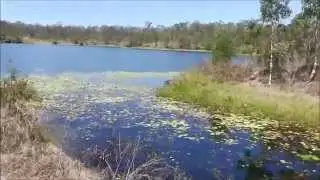 A short hike at Lake Manchester