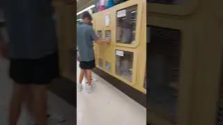 Шелтер для животных в Америке