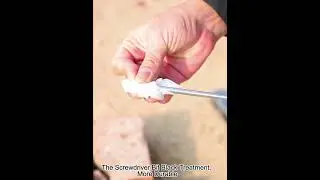 Screwdriver