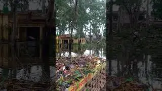 #Puranpur me भारी tabahi
