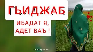 Гьиджаб-ибадат я,адет ваъ.|ХИДЖАБ| Сабир Мустафаев