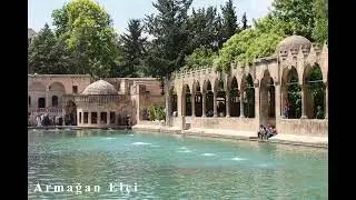 Armağan Elçi / Tılfındır Hastane
