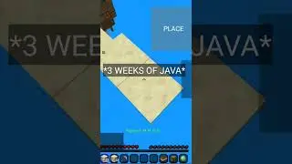 Java Bridge vs Bedrock Bridging Pojav launcher edition 