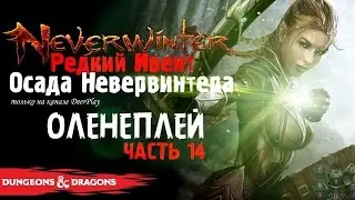 Осада Невервинтера | Событие в Neverwinter ◈ Оленеплей