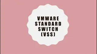 VMware vSphere 7.0 : VMware Standard Switch (VSS)