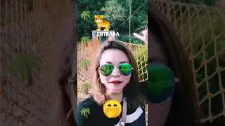 ivlog