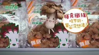 好菇道 2021TVC  對話篇