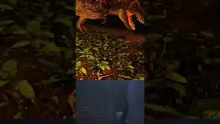 T-rex (REXY) Hunts its Prey after escaping from Paddock part-2 | Ark Survival Evolved