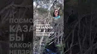 #самопознание #психолог #психология