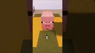 piggy....💩 