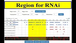Selection of region for RNAi 