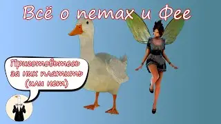 BDO: Almost Everything About Pets and Fairies