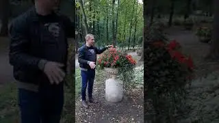 Ivan Pozdnyakov introducing Impatiens Walleriana Imara