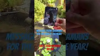Oracle message from Shamans for the end of the year!    #selfdevelopment #tarot #tarotcards