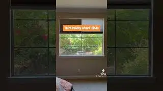Third Reality Smart Blinds 
