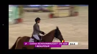 Fape Calvin , gelding 2013 by Nabab de rêve X feinnshnit