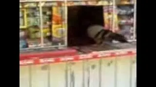 Яцьо