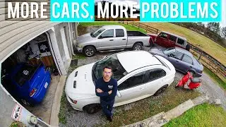 Fixing EVERY CAR WE OWN! Sort of.