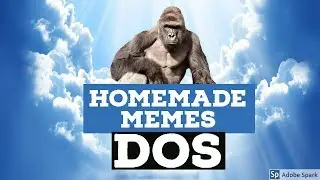 Freshly Made Memes!