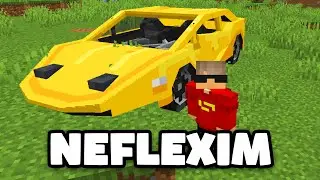 NEFLEXIM