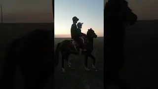 Омардың атқа мінуі.